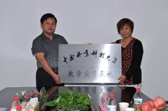 威廉希尔中文网站平台