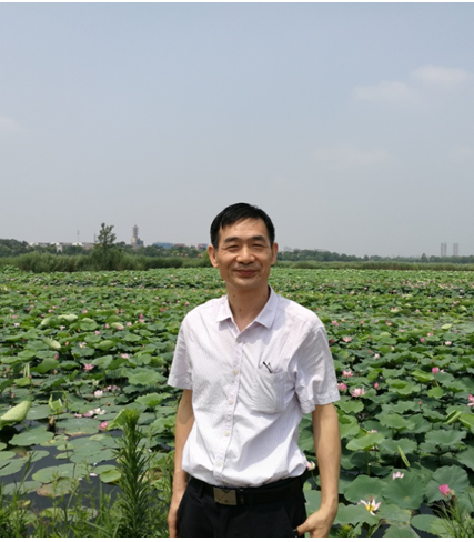 威廉希尔中文网站平台